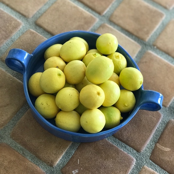 Meet your Posher, Katty - Picture 1 of 1